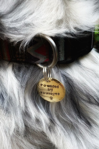 Tagyns - Pure brass dog tags